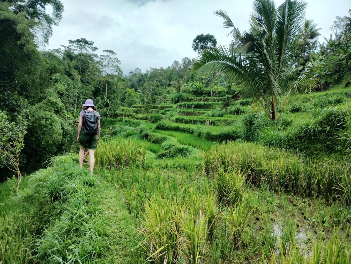 Girang Rinjani Bungalows Tetebatu Esterno foto