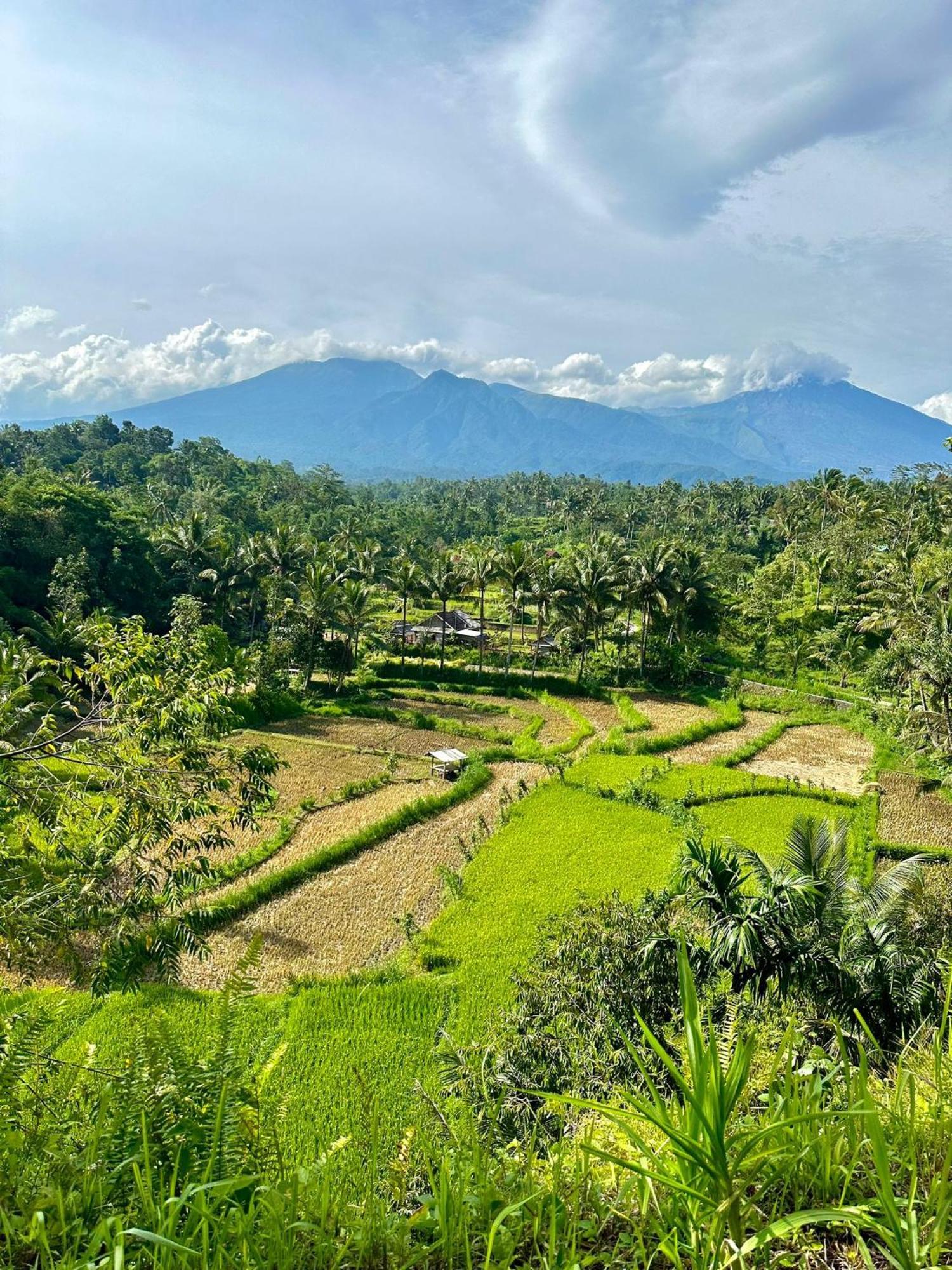 Girang Rinjani Bungalows Tetebatu Esterno foto
