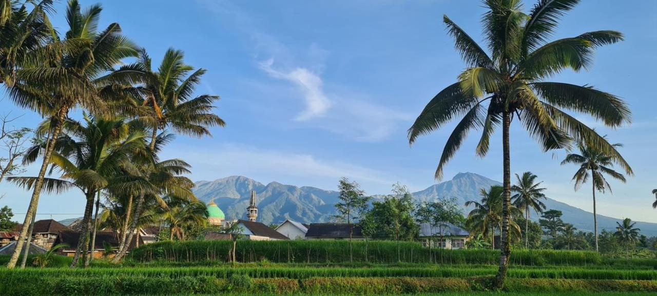 Girang Rinjani Bungalows Tetebatu Esterno foto
