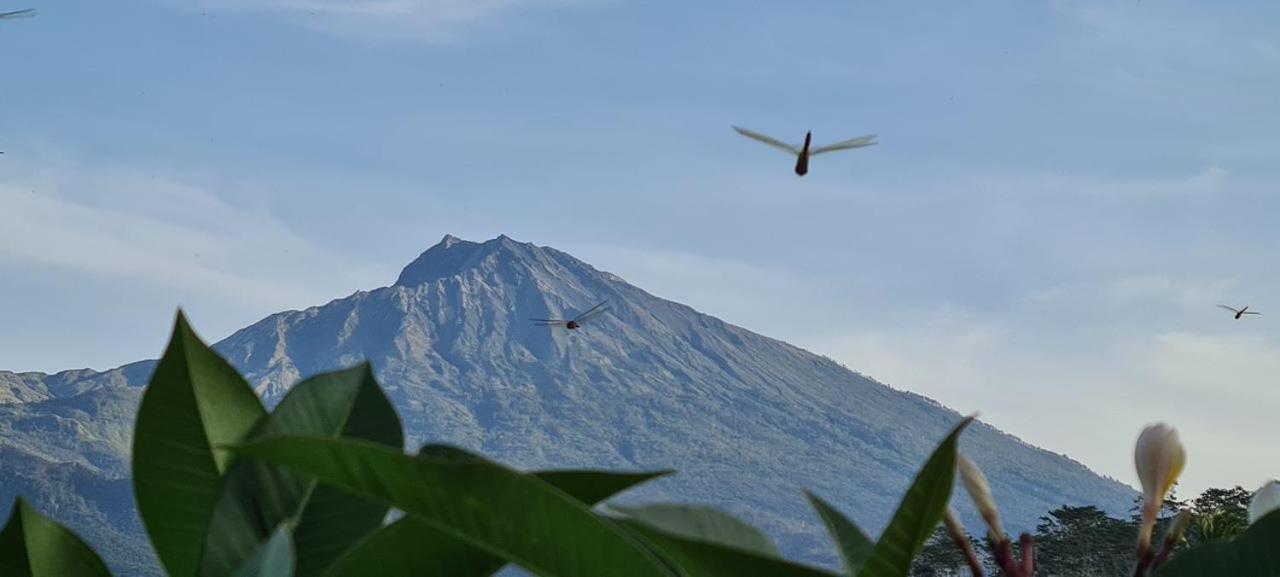 Girang Rinjani Bungalows Tetebatu Esterno foto