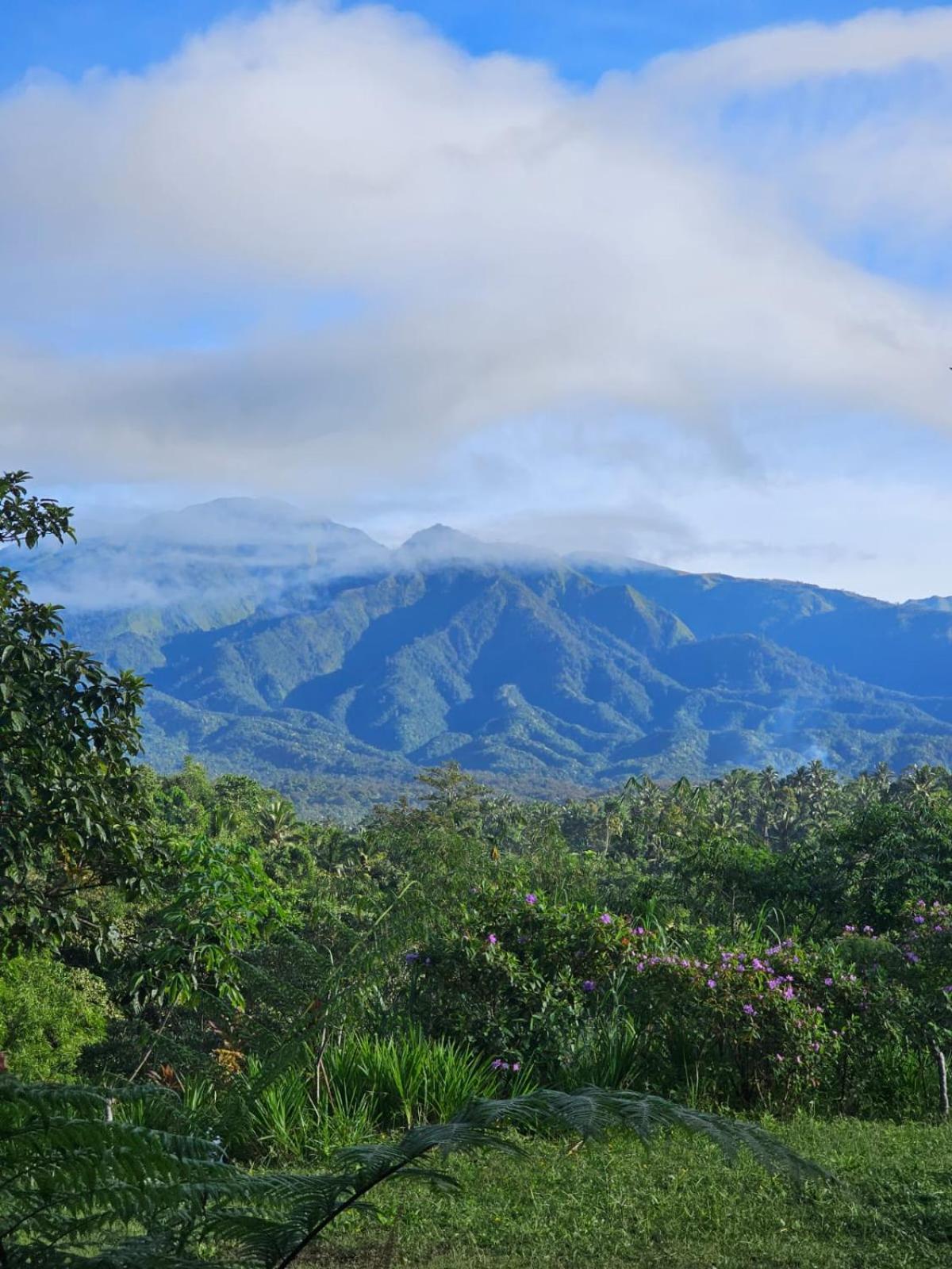 Girang Rinjani Bungalows Tetebatu Esterno foto
